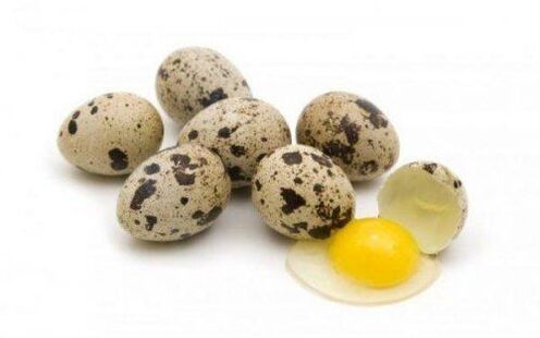 telur puyuh untuk meningkatkan potensi